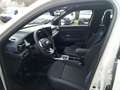 Dacia Duster III TCe 130 Journey 4x4 1.2 Mild-Hybrid EU6e Beige - thumbnail 8