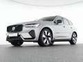 Volvo XC60 T8 AWD Plus Dark 20"+LUFTFAHRWERK+360°+ACC Silber - thumbnail 7