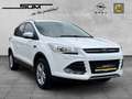 Ford Kuga Sync Edition, Klimaautomatik - Sitzheizung - Navig Weiß - thumbnail 9