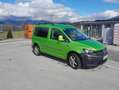 Volkswagen Caddy Caddy Kombi Maxi Life Family 1,9 TDI DSG Family Grün - thumbnail 1