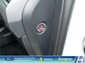 Ford S-Max Trend 2.0EcoBlue 7-Sitzer AHK Navi CarPlay 1. Hand Weiß - thumbnail 31
