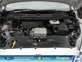 Ford S-Max Trend 2.0EcoBlue 7-Sitzer AHK Navi CarPlay 1. Hand Weiß - thumbnail 37