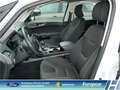 Ford S-Max Trend 2.0EcoBlue 7-Sitzer AHK Navi CarPlay 1. Hand Weiß - thumbnail 9