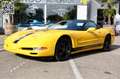 Corvette C5 Cabrio -Z51 -HeadsUp -CarFax Gelb - thumbnail 20