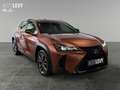 Lexus UX 300h F-Sport Design +Kamera+CarPlay+PDC+SHZ+ Gold - thumbnail 8