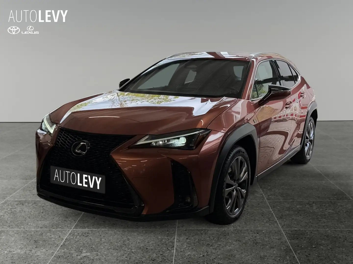 Lexus UX 300h F-Sport Design +Kamera+CarPlay+PDC+SHZ+ Gold - 2