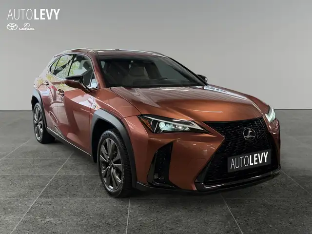Lexus Ux view 8