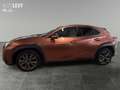 Lexus UX 300h F-Sport Design +Kamera+CarPlay+PDC+SHZ+ Gold - thumbnail 3