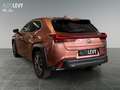 Lexus UX 300h F-Sport Design +Kamera+CarPlay+PDC+SHZ+ Gold - thumbnail 4