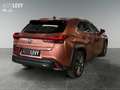 Lexus UX 300h F-Sport Design +Kamera+CarPlay+PDC+SHZ+ Gold - thumbnail 6