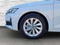 Skoda Octavia Kombi 2,0 TDI Selection DSG Weiß - thumbnail 6