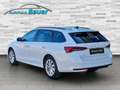 Skoda Octavia Kombi 2,0 TDI Selection DSG Weiß - thumbnail 4