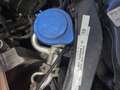 Ford Focus SW 1.6 tdci Titanium 95cv NEOPATENTATI Grigio - thumbnail 15