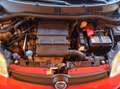 Fiat Panda 1.2 GPL EASYPOWER City Life Bluetooth Rot - thumbnail 20