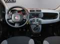 Fiat Panda 1.2 GPL EASYPOWER City Life Bluetooth Rot - thumbnail 11
