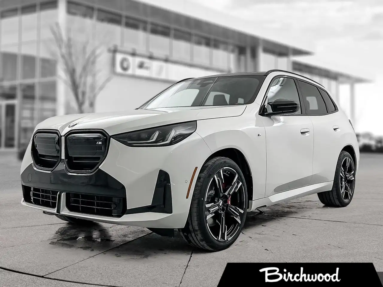 2026 BMW X3