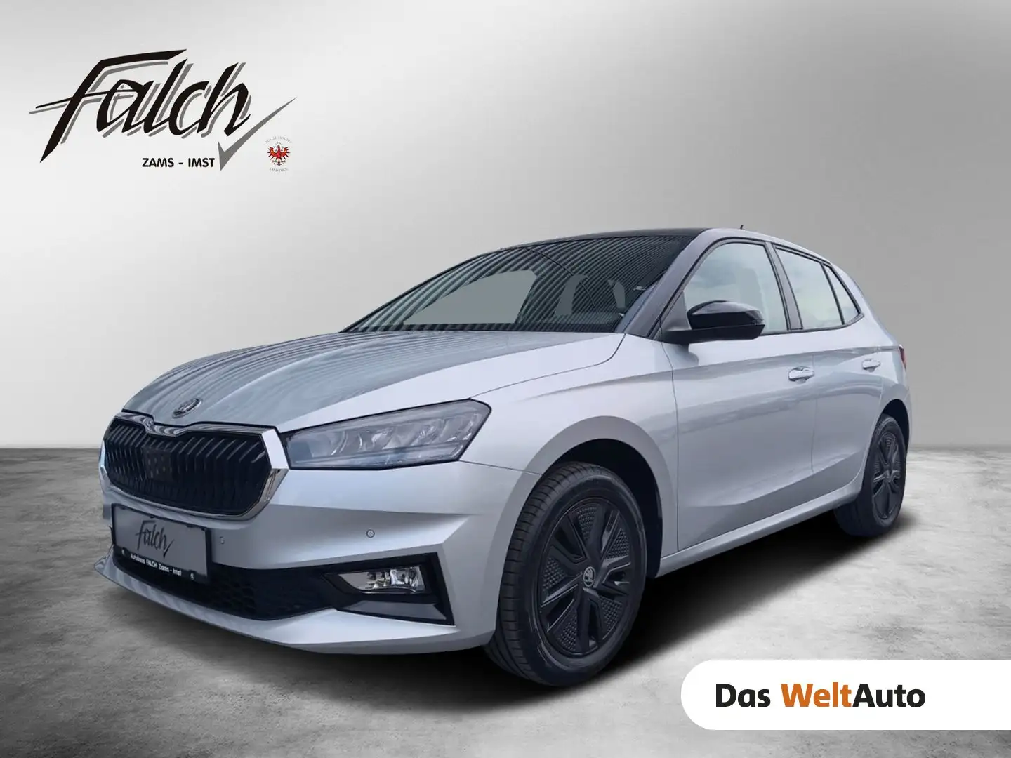 Skoda Fabia Selection TSI Silber - 1