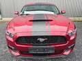 Ford Mustang Fastback 3,7 V6 Rouge - thumbnail 2