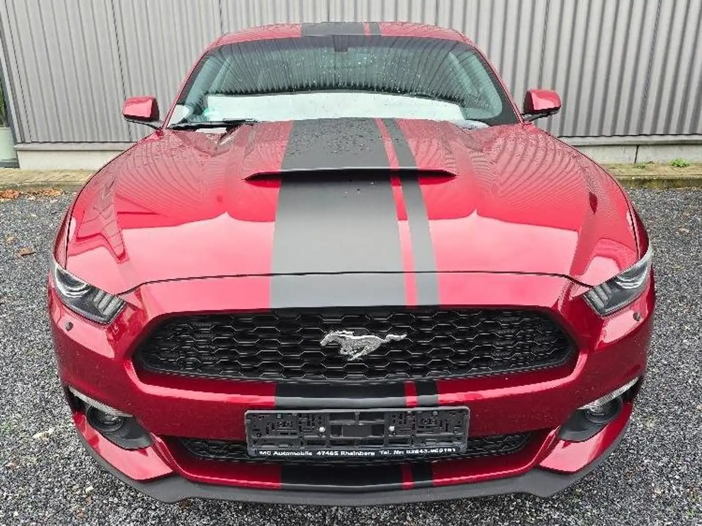 Ford Mustang Fastback 3,7 V6 Rouge - 2