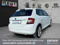 Skoda Fabia 1.0 TSI Clever Navi SHZ PDC Carplay Klimaaut Weiß - thumbnail 3