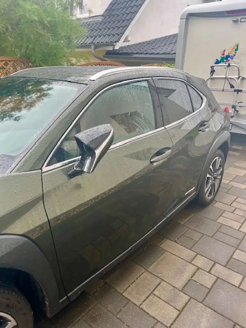 Lexus UX 250h UX 250h Luxury Line Зелений - 1