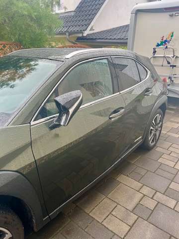 Imagine Lexus UX 250h UX 250h Luxury Line