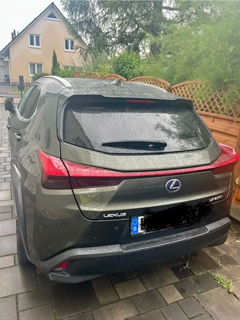 Lexus UX 250h UX 250h Luxury Line Grün - 2