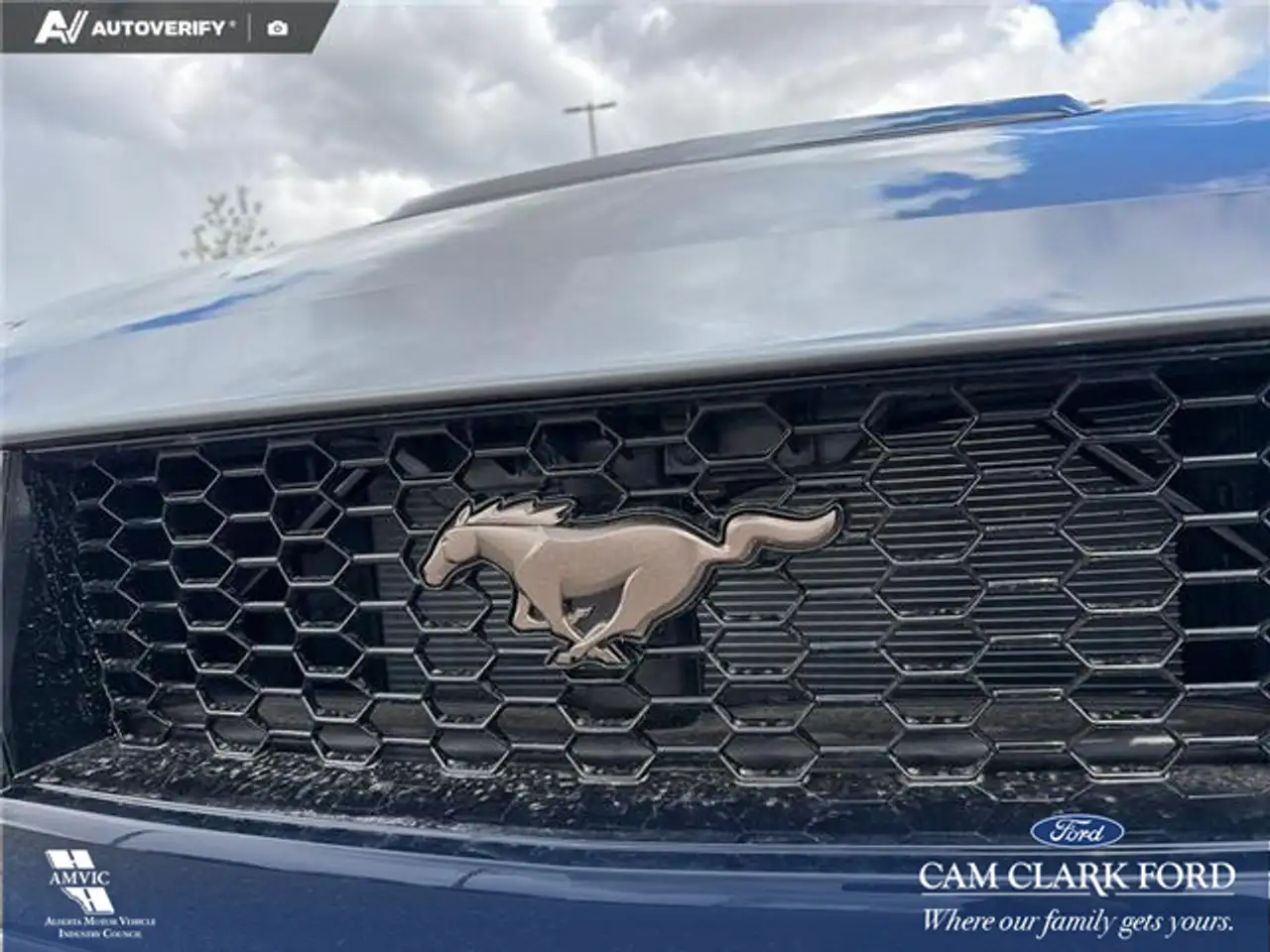 Ford Mustang снимка Ford Mustang