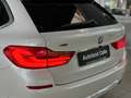 BMW 530 d xD Luxury Line Panorama Kamera HUD DAB HiFi Bianco - thumbnail 9