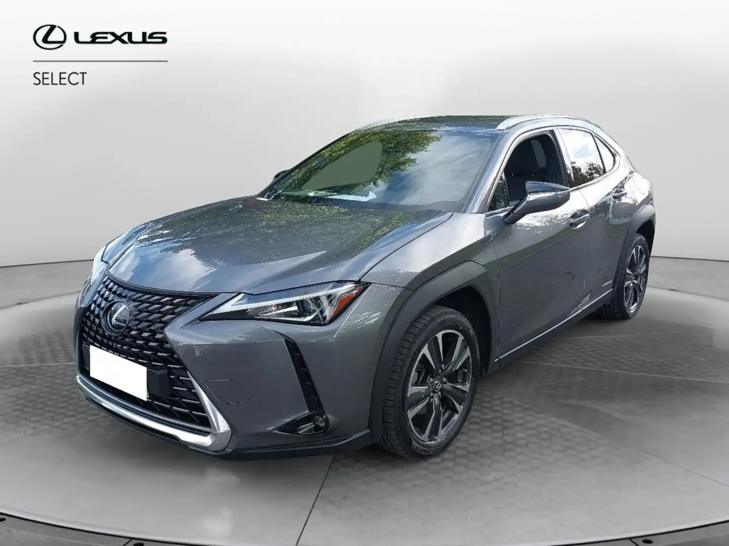Lexus UX 250h Hybrid Executive Gris - 1