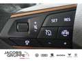 CUPRA Formentor e-Hybrid Navi*LED*R-Kamera * Gris - thumbnail 17
