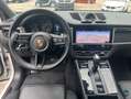 Porsche Macan Macan 2.9 GTS 440cv pdk Grigio - thumbnail 10