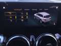 Mercedes-Benz GLB 220 d 4Matic PROGRESSIVE MULTIBEAM TEILLEDER Weiß - thumbnail 14