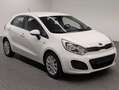 Kia Rio Für Gewerbe, Ex-/Import Weiß - thumbnail 6
