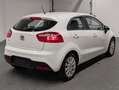 Kia Rio Für Gewerbe, Ex-/Import Weiß - thumbnail 4