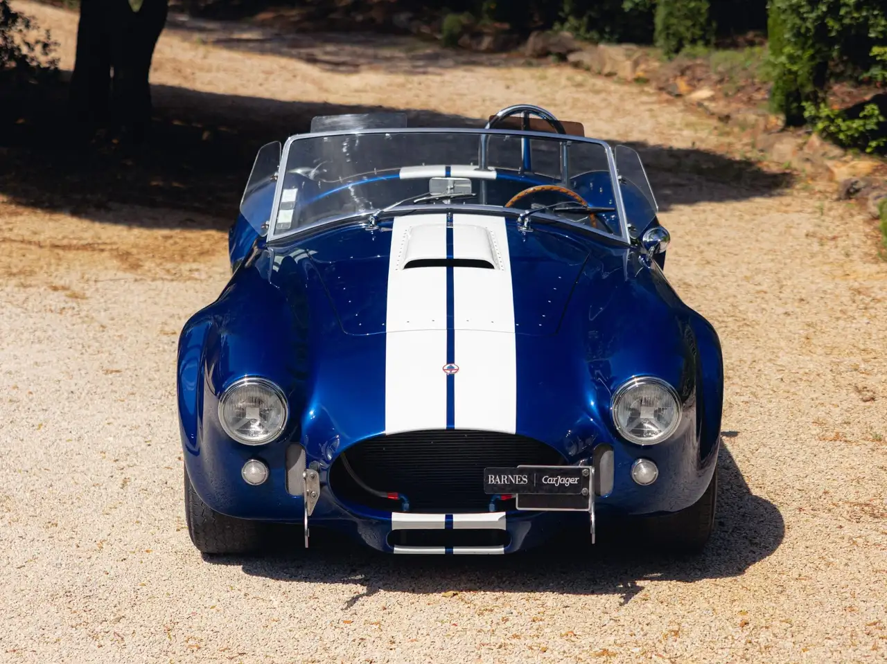 AC Cobra Superformance V8 351ci, foto 5