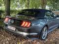 Ford Mustang Mustang Convertible 2.3 Eco Boost Aut. Gri - thumbnail 15