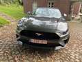 Ford Mustang Mustang Convertible 2.3 Eco Boost Aut. Gris - thumbnail 5