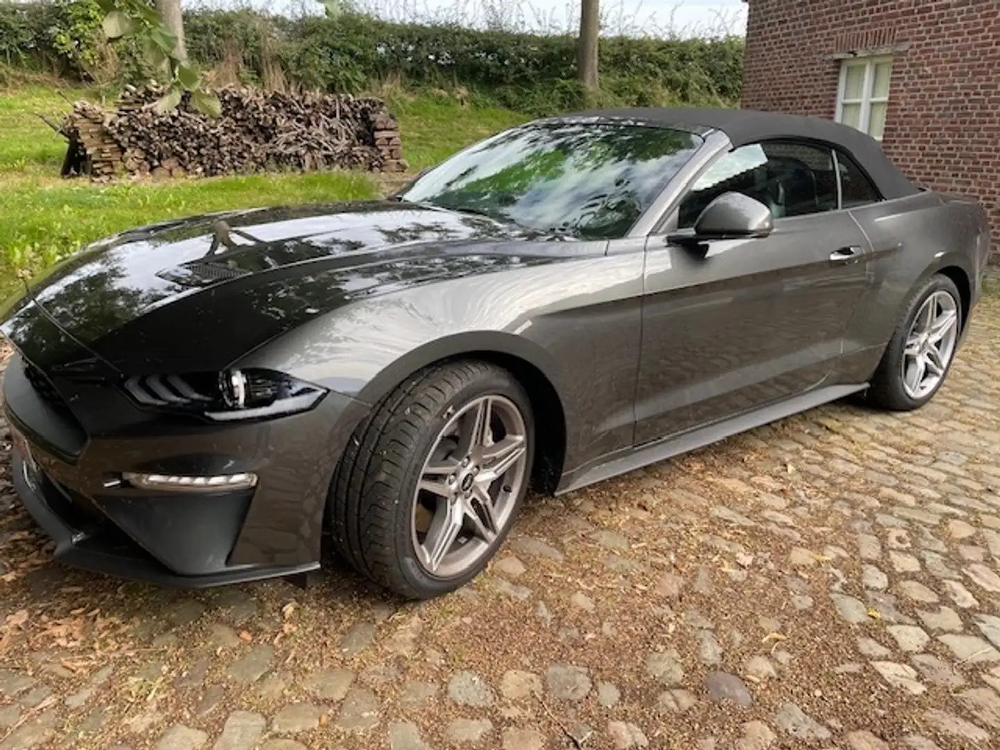 Ford Mustang Mustang Convertible 2.3 Eco Boost Aut. Grijs - 1