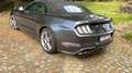 Ford Mustang Mustang Convertible 2.3 Eco Boost Aut. Gris - thumbnail 3