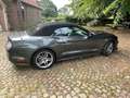 Ford Mustang Mustang Convertible 2.3 Eco Boost Aut. Gris - thumbnail 2