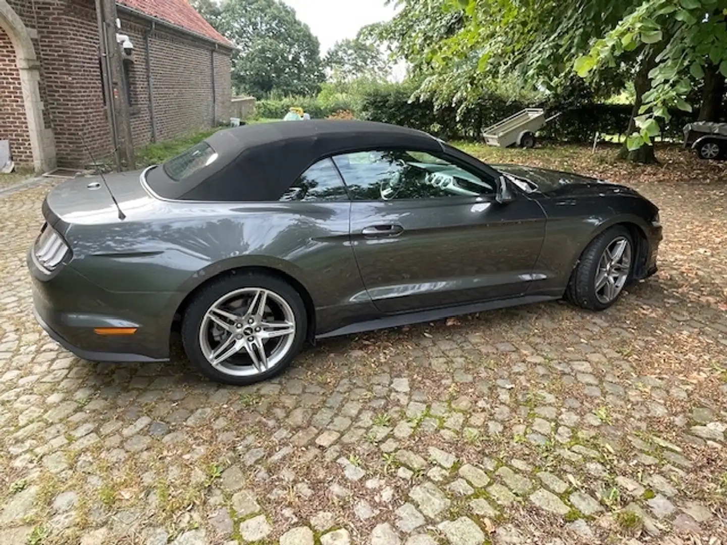 Ford Mustang Mustang Convertible 2.3 Eco Boost Aut. Grijs - 2