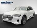 Audi e-tron 50 quattro 230 kW Business Weiß - thumbnail 1