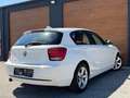BMW 116 d Sport Efficient Dynamics Edition Weiß - thumbnail 17
