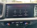 Audi A1 SPORTBACK 40 TFSI edition one|ACC|Milltek|Cam|Carp Grau - thumbnail 24