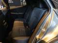 Toyota C-HR + Elektro 77kWh AWD Lounge ACC+LED+Navi+Pano Grün - thumbnail 11