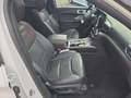 Ford Explorer Platinum PHEV 4x4 3.0 El. Panodach Navi Leder Digi Weiß - thumbnail 13