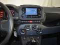 Fiat Panda 1.0 70CV Hybrid Gris - thumbnail 8
