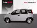 Fiat Panda 1.0 70CV Hybrid Gris - thumbnail 4