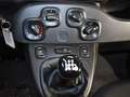 Fiat Panda 1.0 70CV Hybrid Gris - thumbnail 9